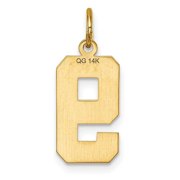 14K Yellow Gold, Varsity Collection, Medium D/C Pendant Number 9 - Picture 3 of 5